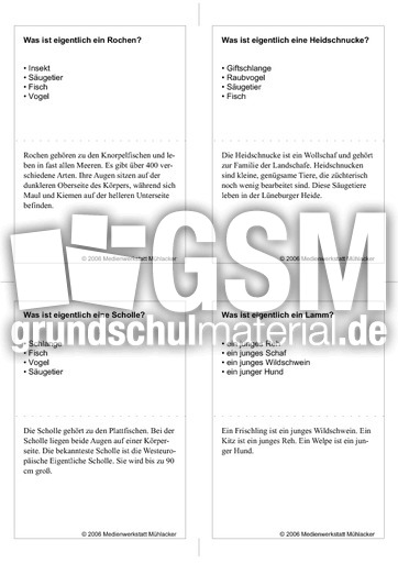 Quiz-Karten-Tiernamen 51.pdf